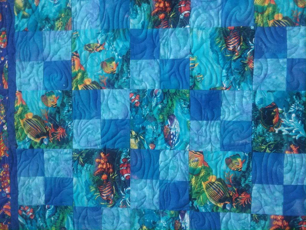 tropical fish